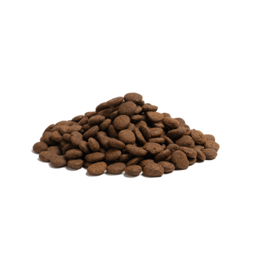 ESSENTIAL the BEGINNING LARGE BREED 10KG