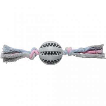 Companion dental chewing ball on rope