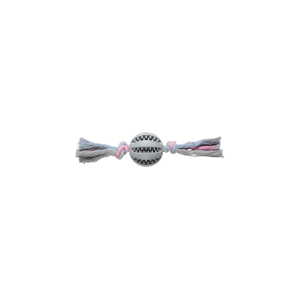 Companion dental chewing ball on rope