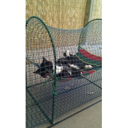 Kabana - markise og hængekøje - Kittywalk® transportabel kattegård