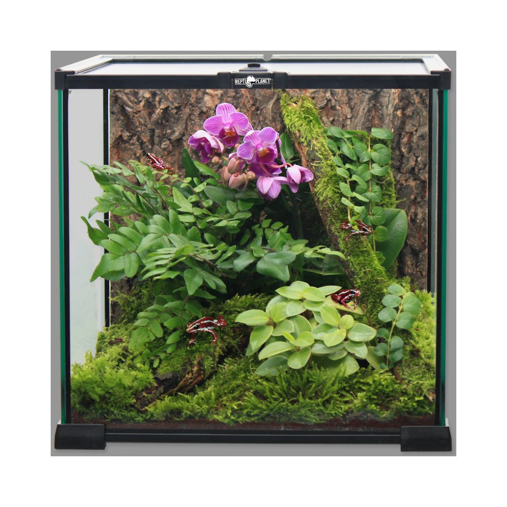 Terrarium 20x20x20cm glas