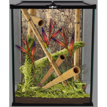 Terrarium 20x20x30cm glas