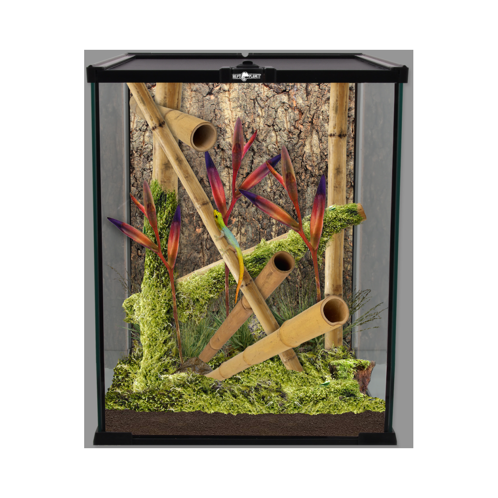 Terrarium 20x20x30cm glas