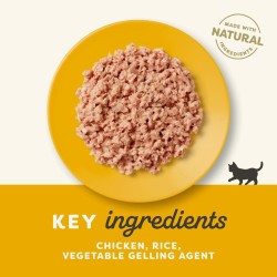 Applaws Chicken in jelly 70g Kitten (Kyllingbryst)
