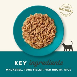 5 stk Applaws Ocean Fish in broth 70g (Makrel & Tun)