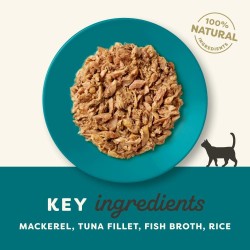 6 stk Applaws  Ocean Fish in broth 156g (Makrel & Tun)