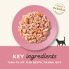 6 stk Applaws Tuna Fillet with Prawn in broth 156g (Tun med Rejer)