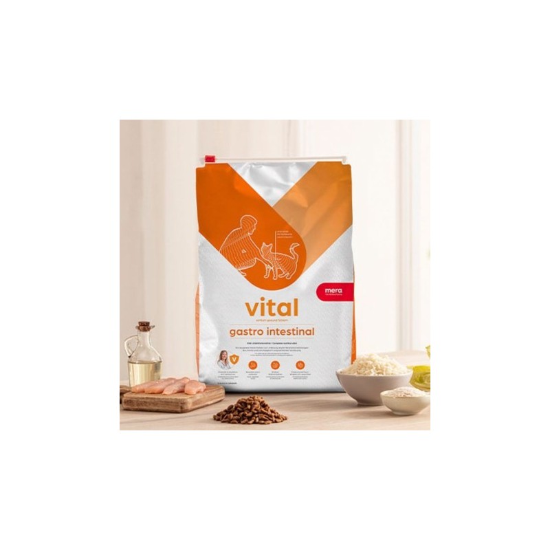 Mera Vital Health Concept Gastrointestinal Kat 3 kg
