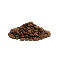 British Heritage THE BEGINNING LARGE BREED 10KG