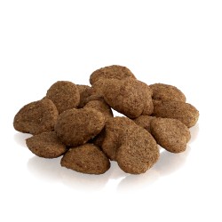 Essential THE SILENT SHADOW Med And