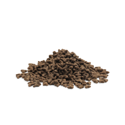 ESSENTIAL the LITTLE LION 1.5kg