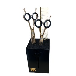 B&B Sakseholder