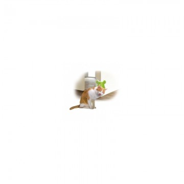 Pet Corner Groomer -Lifestyle 4 Pets