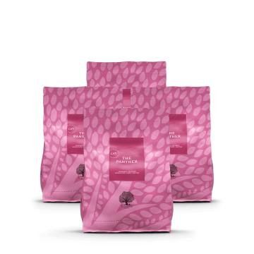 ESSENTIAL the PANTHER 12 kg
