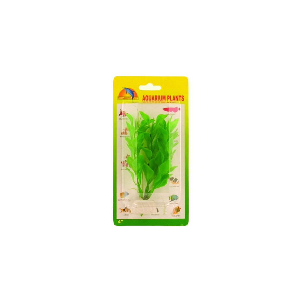 Grøn Bacopa