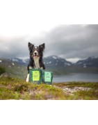 Essential godbidder og tilbehør