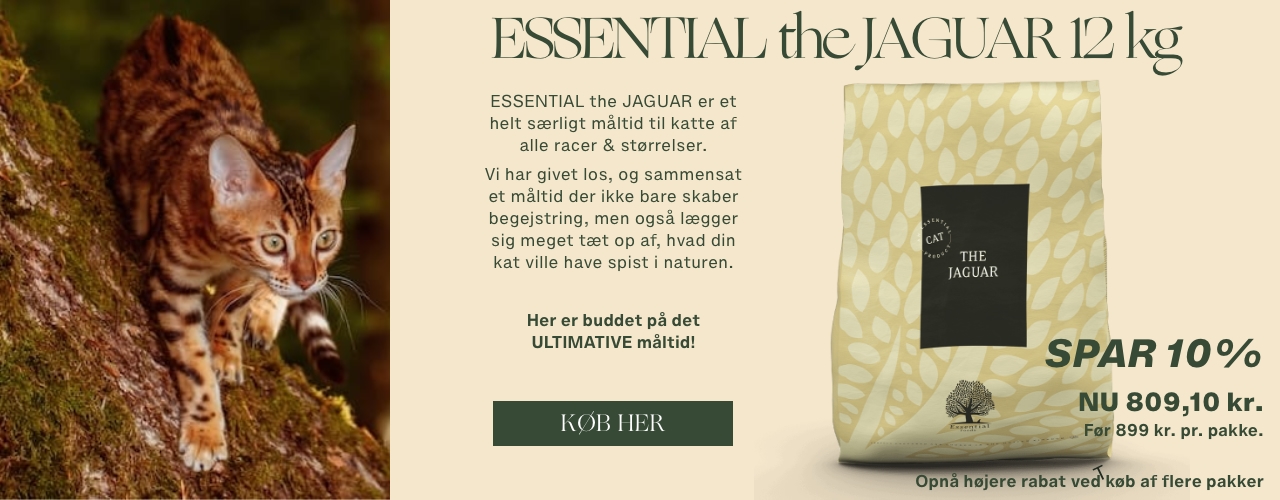 ESSENTIAL the JAGUAR 12 kg