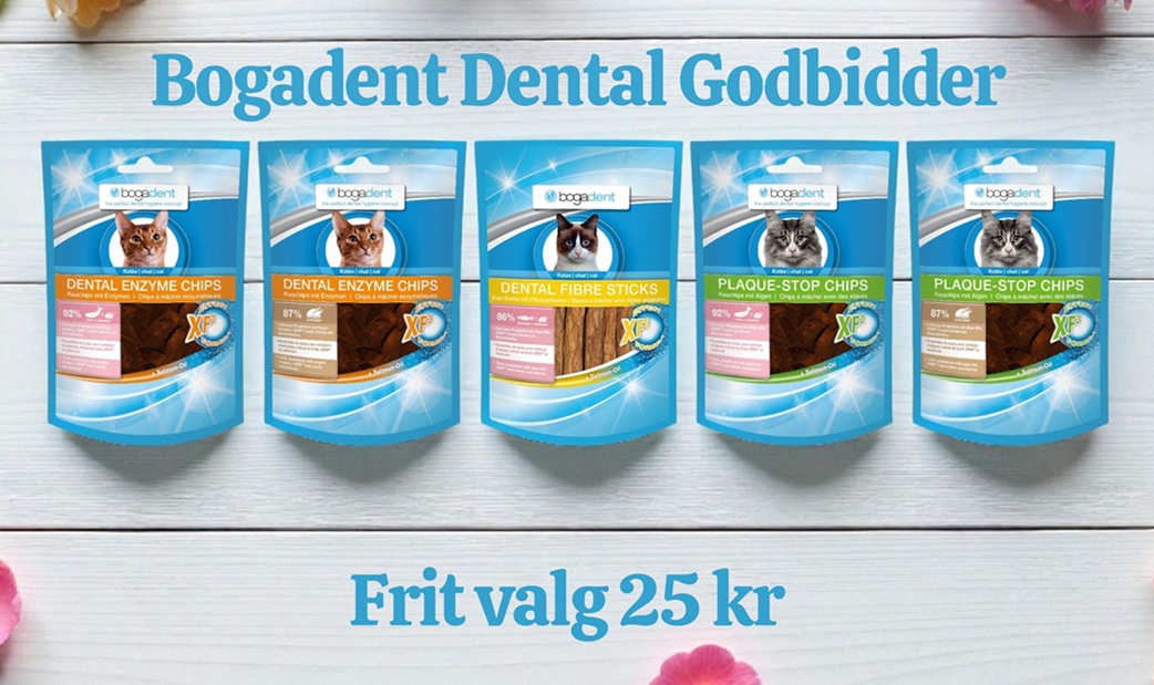 Bogadent Reklamw Bogadent Reklamw